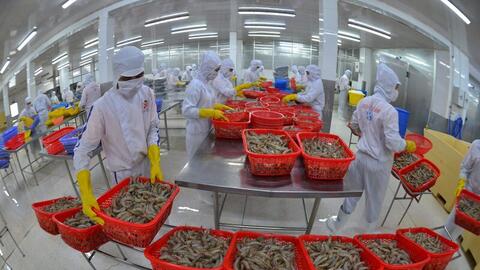 Hiệp định VIFTA: Động lực mới thúc đẩy hợp tác toàn diện Việt Nam - Israel