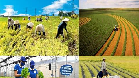 Hoàn thiện thị trường trong nước gắn với tiêu chuẩn quốc tế