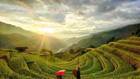 Điểm danh nơi hút khách tết Dương lịch 2026