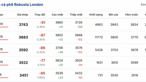 Giá cà phê hôm nay 11/2/2026: Tiếp tục tăng nhẹ