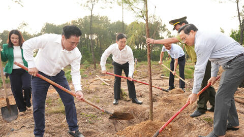 Thành phố Huế: Phát động Tết trồng cây đời đời nhớ ơn Bác Hồ