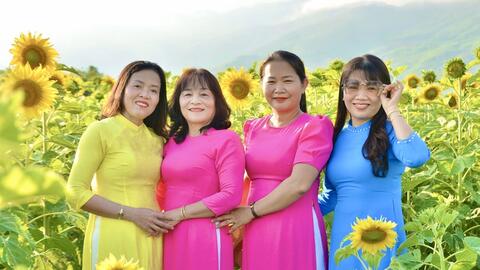 10.000 hoa hướng dương nở rộ, rực rỡ sắc vàng tại TP. Đà Nẵng