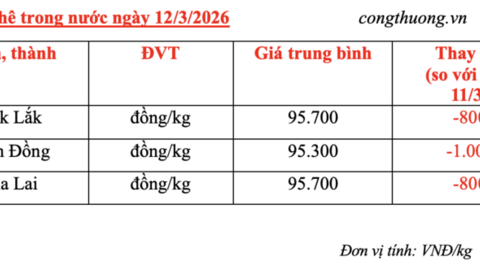 Giá cà phê hôm nay 12/3/2026: Thị trường trong nước giảm nhẹ