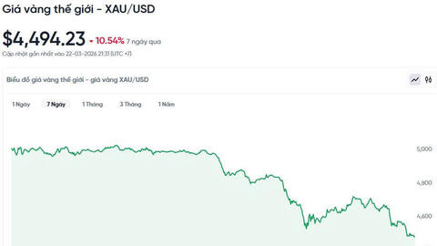 Giá vàng hôm nay 23/3: Giảm mạnh ngay đầu tuần