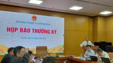 Xuất khẩu nông, lâm, thủy sản quý I/2026 chịu áp lực giảm giá