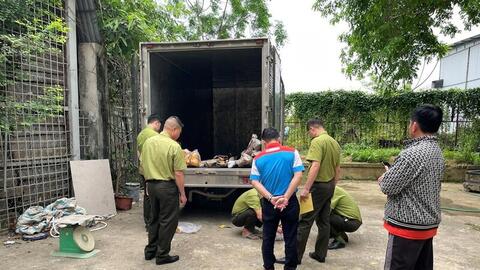 Kiểm soát chặt 'cơn sốt' muội hồng, ngăn hệ lụy từ sớm