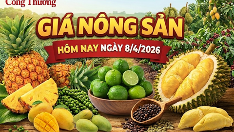 Giá nông sản hôm nay 8/4: Giá chanh tăng mạnh, cà phê thế giới giảm