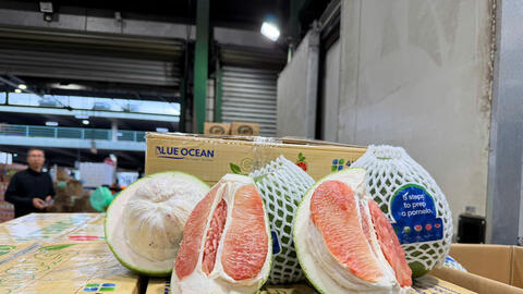 Thông quan lô bưởi tươi đầu tiên bằng đường hàng không vào Australia