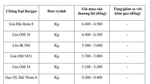Giá lúa gạo hôm nay ngày 18/6/2026: Gạo xuất khẩu tăng nhẹ