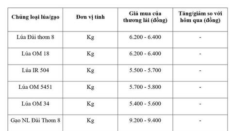 Giá lúa gạo hôm nay ngày 25/6: Gạo nguyên liệu xuất khẩu tăng