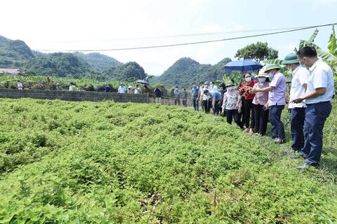 Lạng Sơn: Diện mạo mới khi tư duy kinh tế nông nghiệp bắt đầu 'bén rễ'
