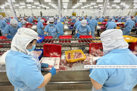 Hiến kế doanh nghiệp Việt khai thác tối đa hiệu quả các FTA