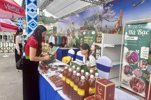 358 đại biểu dự phiên trù bị Đại hội XV Đảng bộ tỉnh Điện Biên