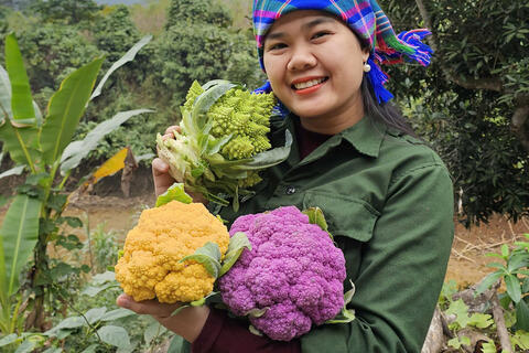 Mai Tây Bắc: Hành trình từ người đến sau tới làm chủ cùng TikTok Shop