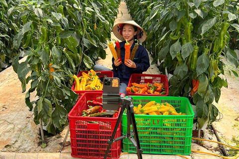 Thảo Mola: Hành trình từ phòng lab đến 'vựa' nông sản trên TikTok Shop