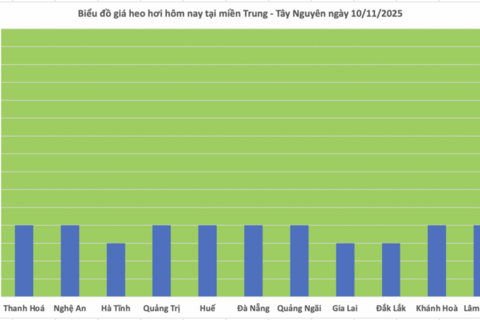 Giá heo hơi hôm nay 10/11/2025: Phiên đầu tuần lặng sóng