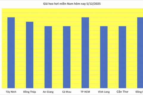 Giá heo hơi hôm nay 5/12/2025: Tiếp tục lập đỉnh mới