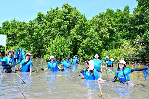 Phục hồi rừng - chiến lược bền vững bảo vệ Việt Nam trước bão lũ