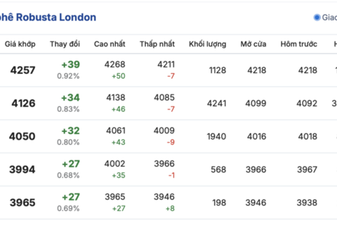 Giá cà phê hôm nay 10/12/2025: Giảm sâu