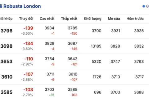 Giá cà phê hôm nay 18/12/2025: Đồng loạt giảm mạnh