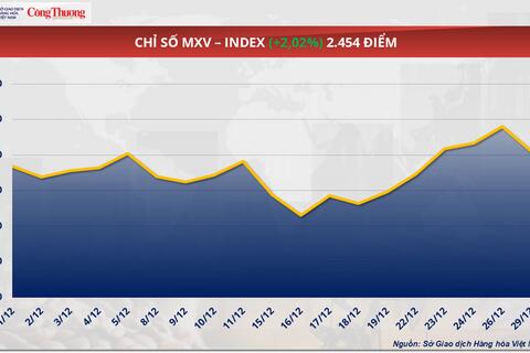 Triển vọng nguồn cung Nam Mỹ kéo giá đậu tương lao dốc