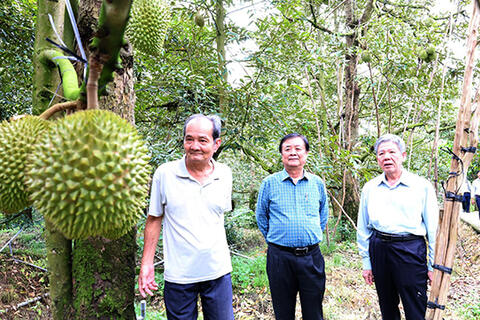Vun trồng một khu vườn - Vun bồi một triết lý sống