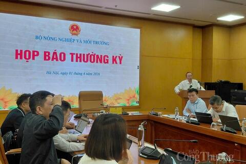 Xuất khẩu nông, lâm, thủy sản quý I/2026 chịu áp lực giảm giá