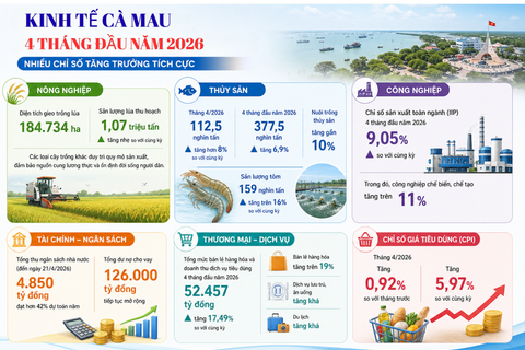 Cà Mau: Thủy sản, công nghiệp và thương mại duy trì đà tăng trưởng