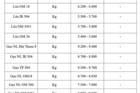 Giá lúa gạo hôm nay ngày 25/6: Gạo nguyên liệu xuất khẩu tăng
