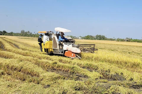 Đồng Tháp cảnh báo hạn, xâm nhập mặn nghiêm trọng, có thể tương đương mùa khô 2019-2020