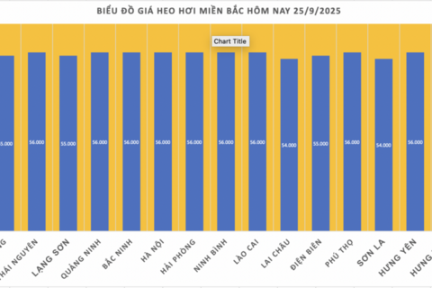 Giá heo hơi hôm nay 25/9/2025: Giảm mạnh tại miền Trung và miền Nam