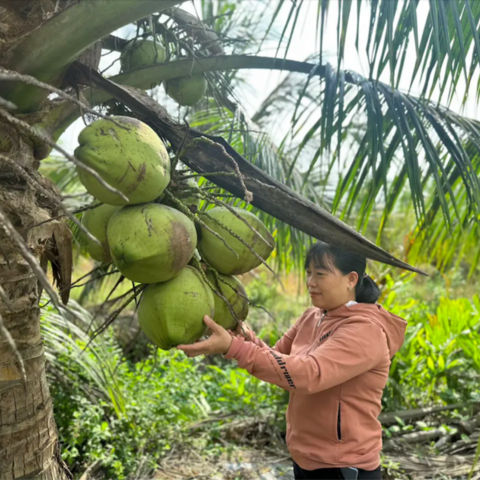 Vĩnh Long: Hiệu quả cao từ các mô hình kinh tế vùng dân tộc thiểu số