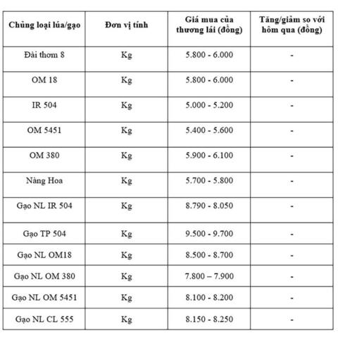 Giá lúa gạo hôm nay ngày 17/10: Thị trường lặng sóng
