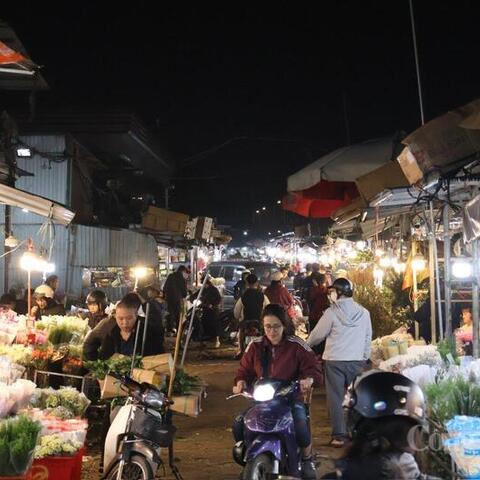 Hà Nội: Chợ hoa Quảng An nhộn nhịp, giá tăng cao dịp 8/3