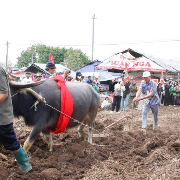 Đắk Lắk: Khát vọng ấm no trên vùng đất mới từ lễ hội Lồng Tồng
