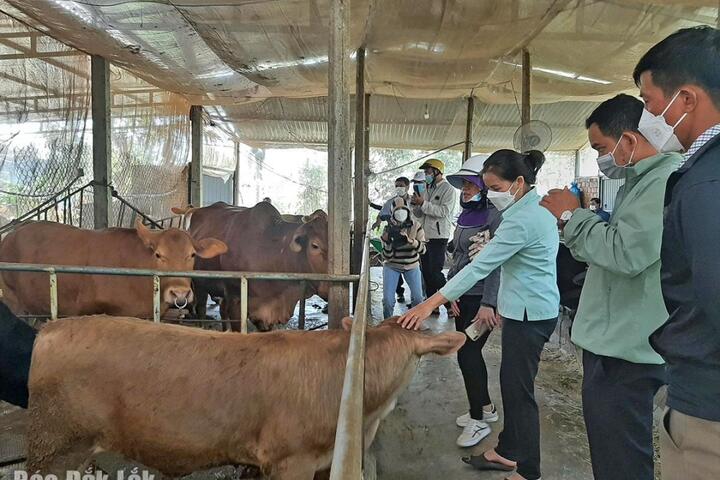 Xã Krông Ana nỗ lực giúp dân thoát nghèo