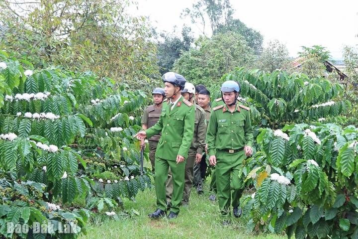 Những “lá chắn xanh” giữ bình yên buôn làng