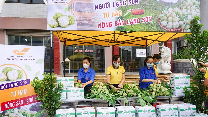 Na Chi Lăng là sản phẩm có thế mạnh của tỉnh Lạng Sơn