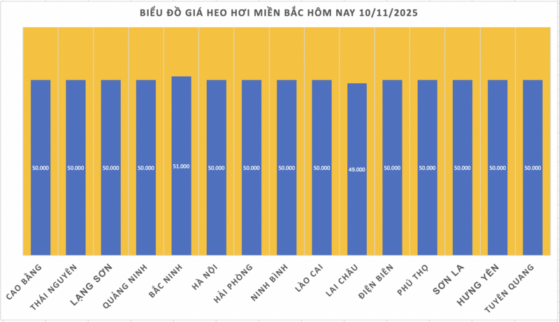 Giá heo hơi hôm nay 10/11/2025: Phiên đầu tuần lặng sóng - 1