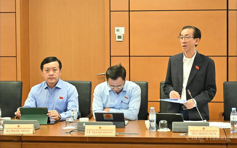 Đại biểu Trần Hoàng Ngân - đoàn TP. Hồ Chí Minh