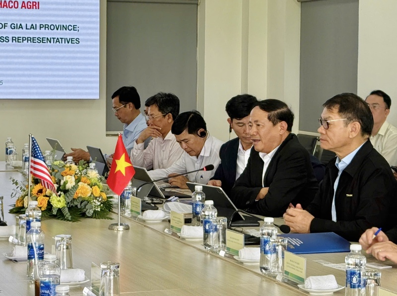 Chủ tịch UBND tỉnh Gia Lai Phạm Anh Tuấn phát biểu tại buổi làm việc.