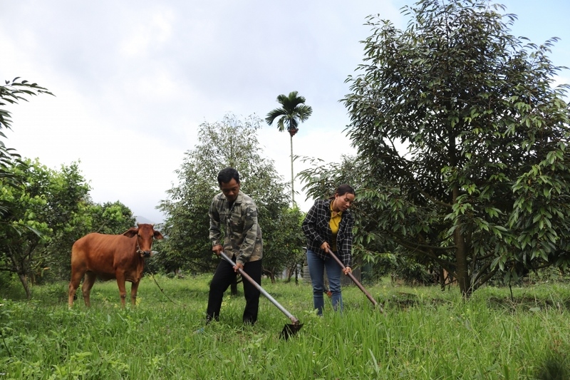 Đồng bào Raglai hôm nay đã thay da đổi thịt bằng tinh thần vượt khó, tinh thần đoàn kết và sự đồng hành kiên trì từ chính sách của Nhà nước.