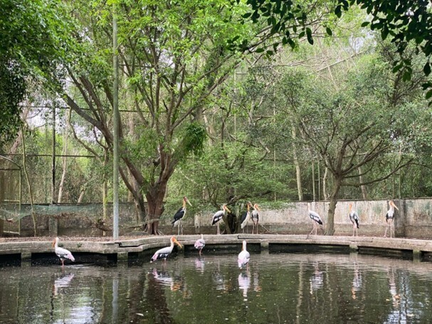 Khu vực nuôi dưỡng và bảo tồn các loài chim quý hiếm, “ngôi nhà an toàn” của hàng trăm cá thể.