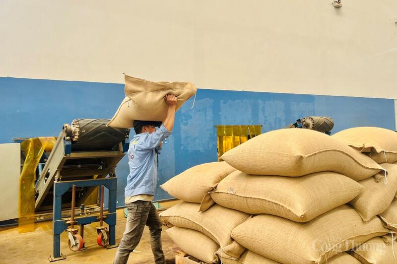 Chỉ số sản xuất công nghiệp (IIP) tháng 11/2025 ước tăng 4,67% so với cùng kỳ; tính chung 11 tháng tăng 9,32%. Ảnh: Hiền Mai.