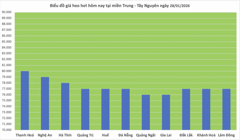 Giá heo hơi hôm nay 28/1/2026: Tiếp đà đi lên - 2