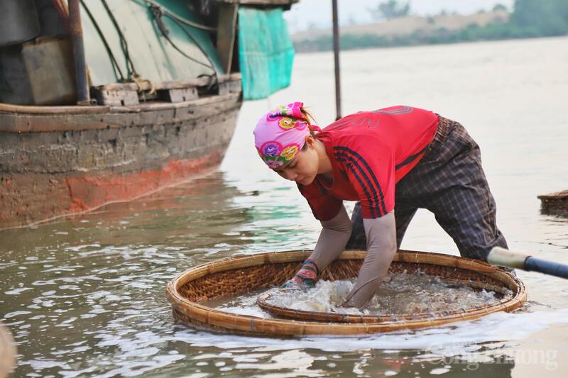 “Sáng ra bãi đãi hến dưới nắng, chiều lại ngồi trực bên bếp lửa, mọi người sợ nắng nóng nhưng nghề của chúng tôi càng nóng lại càng vui. Mỗi ngày, các cơ sở ở đây chế biến từ 60 - 70 kg ruột dắt và hến, lượng hàng tiêu thụ trong mùa nắng có thể cao gấp 5 lần ngày thường”, bà Lê Thị Nguyệt cho biết.