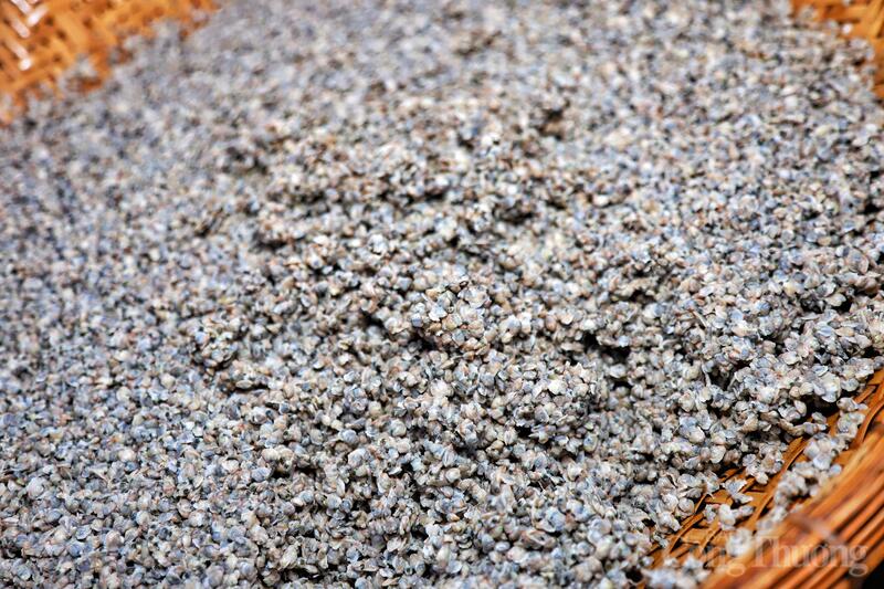 Phần ruột hến có màu trắng ngà, mềm và dậy mùi đặc trưng.