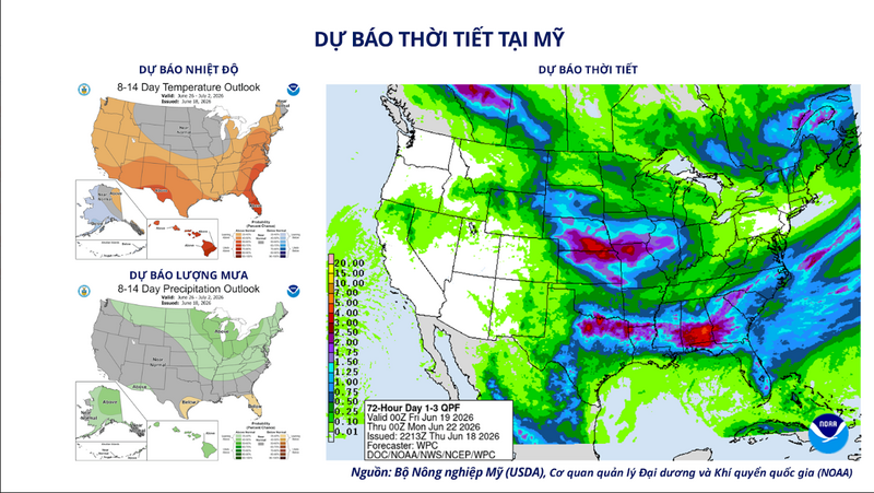 Dự báo thời tiết tại Mỹ. Nguồn: MXV