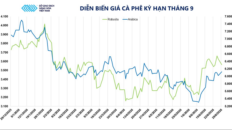 Diễn biến giá cà phê kỳ hạn tháng 9. Nguồn: MXV