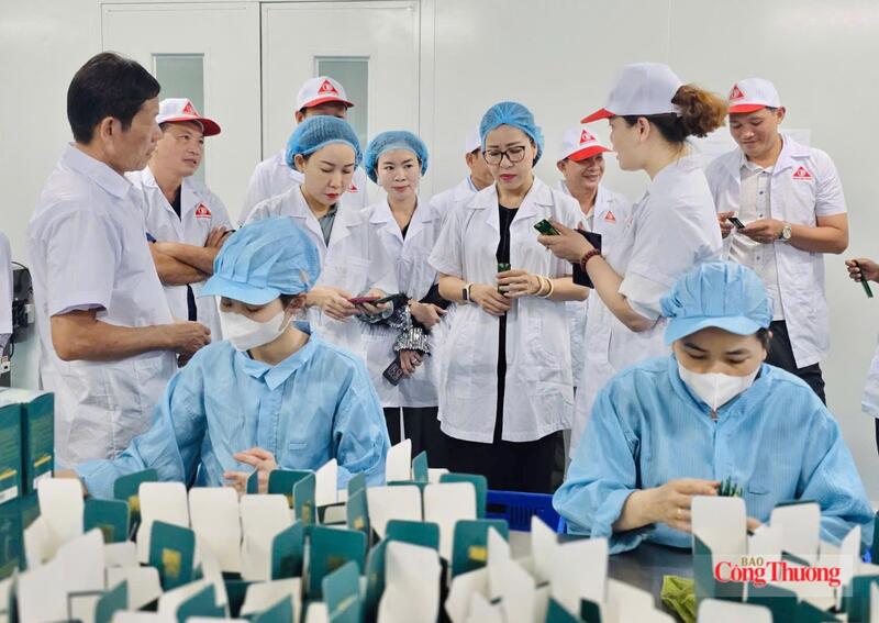 Dây chuyền sản xuất của Công ty TNHH Phát triển Khoa học Quốc tế Trường Sinh (Khu Công nghiệp Trà Đa, phường Pleiku). Ảnh: Hiền Mai